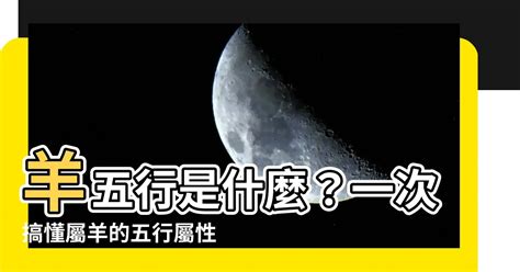 屬羊的五行|【羊五行屬什麼】羊五行是什麼？一次搞懂屬羊的五行。